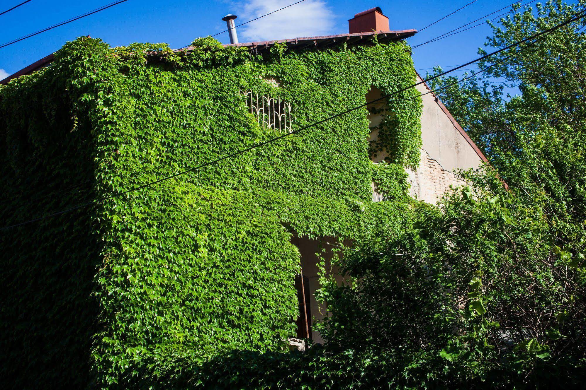 Flamingo Hotel Tiflis Exterior foto